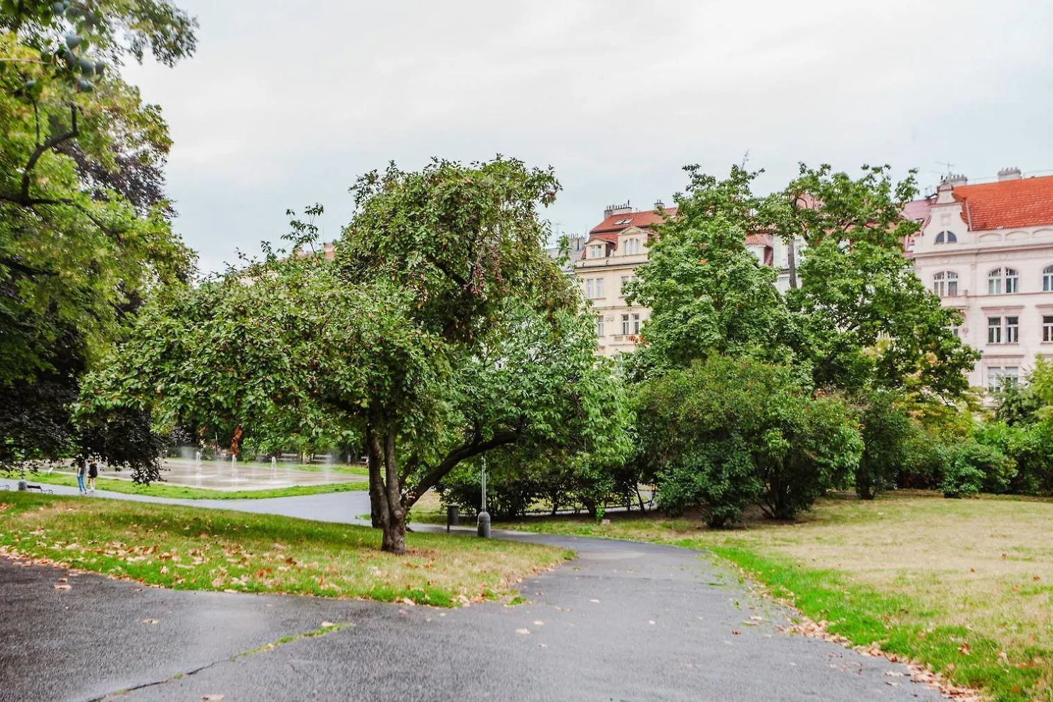 Διαμέρισμα Blueground Prague 2 Renovated Namesti Miru Prg-33 Τσεχία